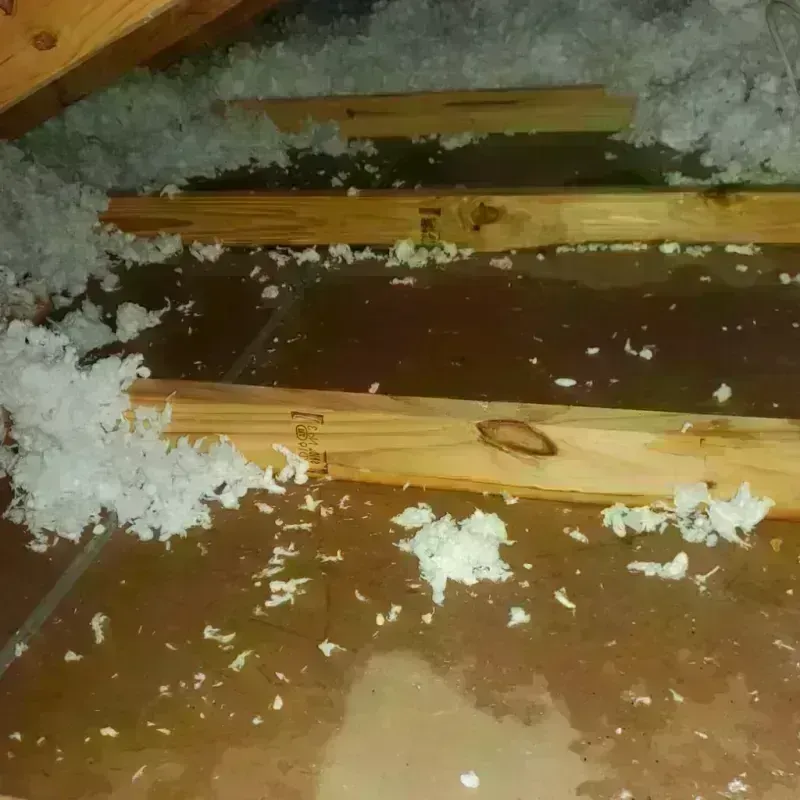 Attic Water Damage in Collierville, CA