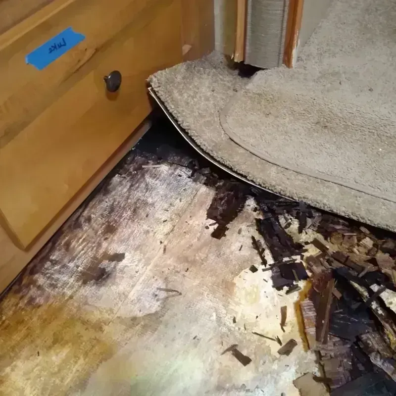 Best Wood Floor Water Damage Service in Collierville, CA